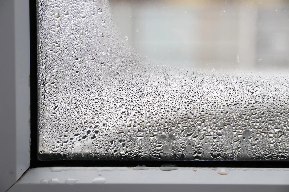 Gouttelettes de condensation sur la surface intérieure d’une fenêtre.
