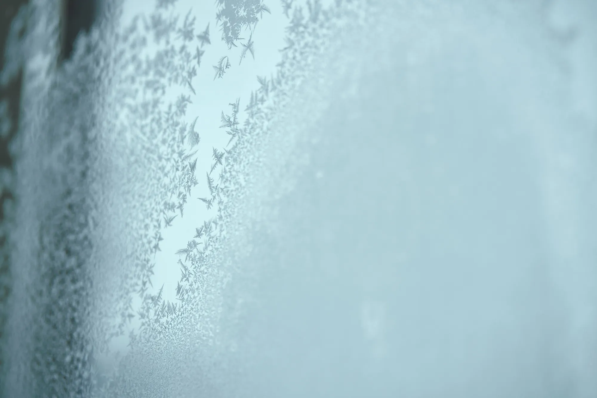 Givre sur une vitre de fenêtre.
